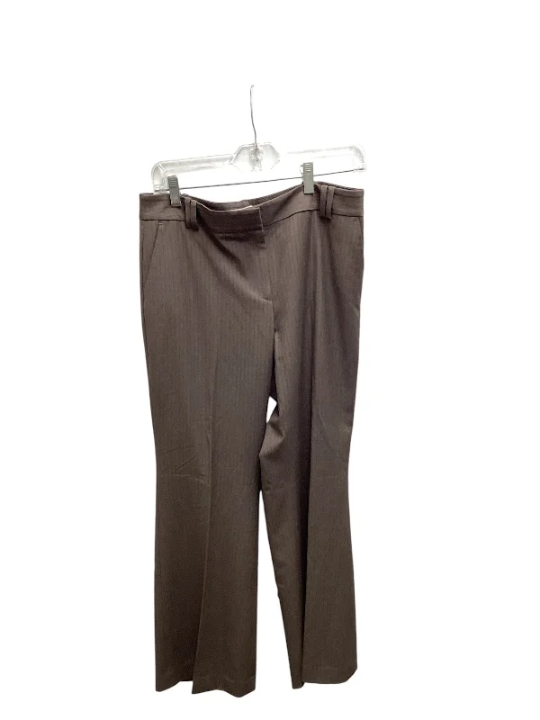 Loft Women's Pant Brown 8P